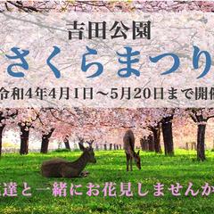 さくらまつり