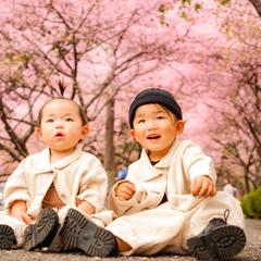 満開の桜並木で。お子様の自然な表情を大切に残します