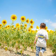 夏色全開！ひまわりと笑顔のポートレート