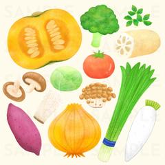 野菜イラスト