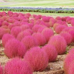 ちょこっと、内緒話しませんか？