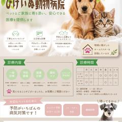 動物病院　集客チラシ