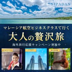 大人の海外旅行キャンペーンバナー｜上質デザイン
