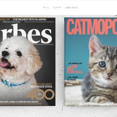 NIGAOE ANIMALS ECサイト制作