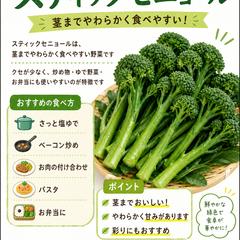 直売所・道の駅・スーパー産直用の食べ方POP