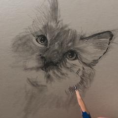 もの思う猫