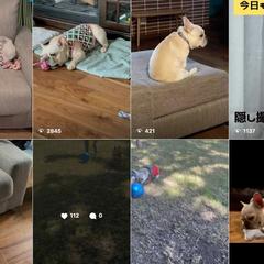 SNS向けショート動画制作・アカウント運用