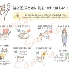 猫カフェで使える、注意事項ポスター