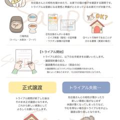 猫カフェ用、トライアルの説明チラシ