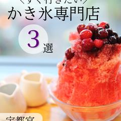 フィード投稿表紙