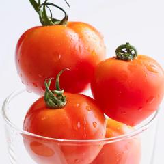 トマトの写真撮影