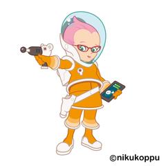 THE SPACE EXPKORER