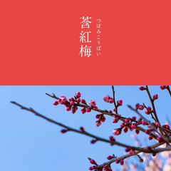 魂の色