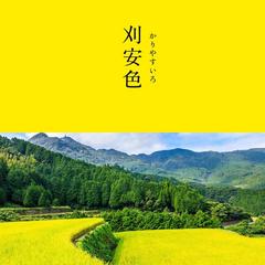 魂の色