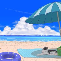 海辺のシュガー