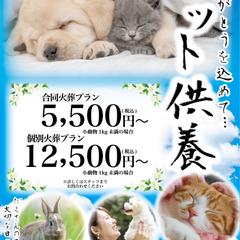 【印象良く】ペット供養の温かさと安心感を伝える販促チラシ