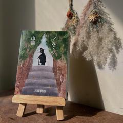 小説「どんぐりの山猫」の装丁画