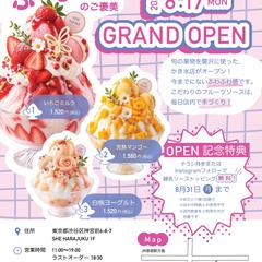 かき氷店フライヤー