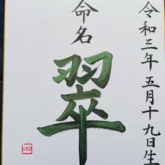 命名書