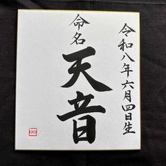 命名書