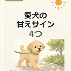 instagramデザイン投稿