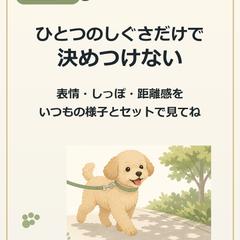 instagramのデザイン投稿