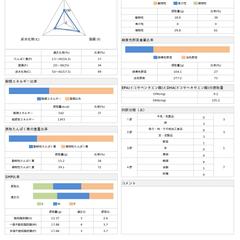 食事分析サービスの分析サンプル1ページめ