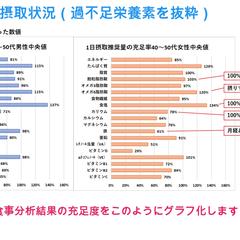 食事分析サービスのアドバイスシート例