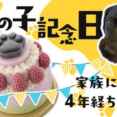 YouTubeのサムネイルデザイン