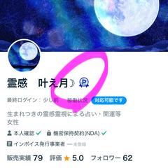 ココナラ　短期間でブロンズ→プラチナランク達成！
