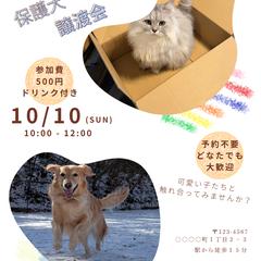 保護犬保護猫譲渡会チラシ