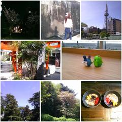 【デジカメ】エモい質感の風景・小物写真素材を提供します