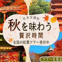 【スクール制作】秋の紅葉ツアー バナーデザイン