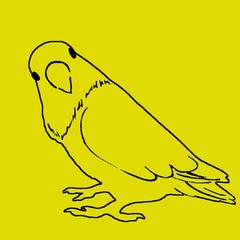 ラブバード・アイコン