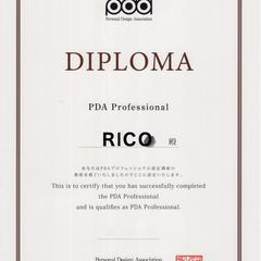 PDAプロフェッショナル