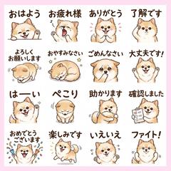 LINEスタンプ/写真風