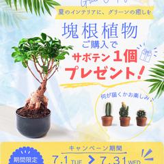 夏のグリーンキャンペーン バナー（架空案件）