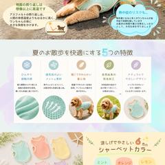 犬の夏服のLP（架空案件）