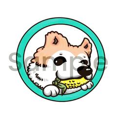 お星様になった金ちゃん