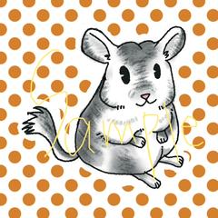 チラチラチンチラ
