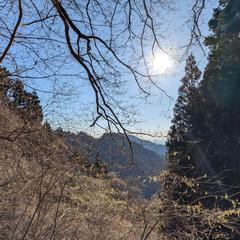 修行