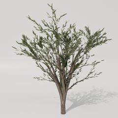 blenderで作成した木