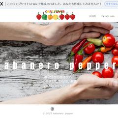 無料版Wixを使ったホームページ作成例（ワンパッケージ）