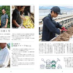 地方紙エディトリアルデザイン