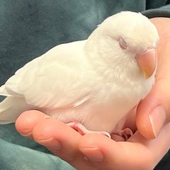 悩み相談