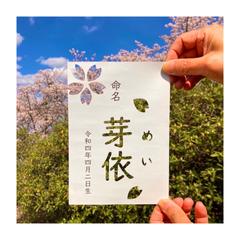 芽依ちゃんの命名書