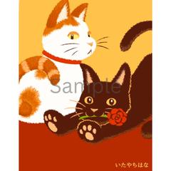 ねこ二匹