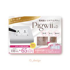 Pigwii 催事用ポスター