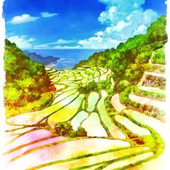 浜野浦の棚田（佐賀県玄海町）