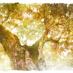 風景イラスト2026_4